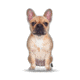 Lifelike Pillows Custom Dog Shaped Pillow, French Bulldog, Fawn, 16 inch Tall/4 inch Thick, DOG12-SH-16