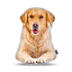 Lifelike Pillows Custom Dog Shaped Pillow, Golden Retriever, 16 inch Tall/4 inch Thick, DOG14-SH-16
