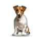 Lifelike Pillows Custom Dog Shaped Pillow, Jack Russell Terrier, 16 inch Tall/4 inch Thick, DOG17-SH-16