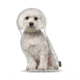 Lifelike Pillows Custom Dog Shaped Pillow, Maltese, 16 inch Tall/4 inch Thick, DOG21-SH-16