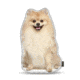Lifelike Pillows Custom Dog Shaped Pillow, Pomeranian, 16 inch Tall/4 inch Thick, DOG22-SH-16