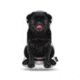 Lifelike Pillows Custom Dog Shaped Pillow, Pug, Black, 16 inch Tall/4 inch Thick, DOG24-SH-16