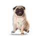 Lifelike Pillows Custom Dog Shaped Pillow, Pug, Fawn, 16 inch Tall/4 inch Thick, DOG25-SH-16