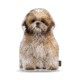 Lifelike Pillows Custom Dog Shaped Pillow, Shih Tzu, 16 inch Tall/4 inch Thick, DOG26-SH-16