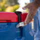 Lifetime Products 48 Quart Heavy-Duty Hard Cooler