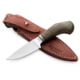 Lionsteel Willy Fixed Blade Knife, 3.1in, M390 Steel, Drop Point, Micarta/Ti Handle, Green Canvas, WL1 CVG