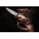 Lionsteel Willy Fixed Blade Knife, 3.1in, M390 Steel, Drop Point, Micarta/Ti Handle, Ivory, WL1 MW