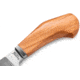 Lionsteel Willy Fixed Blade Knife, 3.1in, M390 Steel, Drop Point, Olive Wood Handle, Olive, WL1 UL