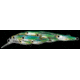 Live Target Yearling Baitball Jerkbait,3.375in,Blue/Chartreuse Shad 144668