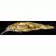 Live Target Yearling Baitball Jerkbait,3.375in,Pearl/Olive Shad 144669