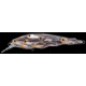 Live Target Yearling Baitball Jerkbait,3.375in,Silver/Black 141668