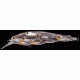 Live Target Yearling Baitball Jerkbait,4.25in,Silver/Black 141672