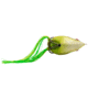 Livingston Lures Freddy B Lure, Green, 4345
