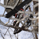 Lone Wolf Treestands Alpha Hang On Tree Stand, Gray AHO II