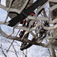 Lone Wolf Treestands Assault II Hang On Tree Stand, Gray ASHO II