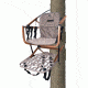 Lone Wolf Treestands Wide Sit and Climb II Combo Tree Stand, Gray WSCC II