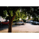 Long Weekend Film Camera, 35mm, Black, 213-027