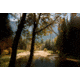 Long Weekend Film Camera, 35mm, Black, 213-027