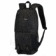 Lowepro Fastpack 100 Backpack, Black LP35188-PEU