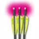 Lumenok Crossbow Bolt Pink Flat 20 in, Black, Pack of 3, BECF3P