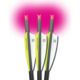 Lumenok Crossbow Bolt Pink Moon 22 in, Black, Pack of 3, BECC223P