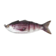Lunkerhunt Gambit Swimbaits, 1, 4.5in, Runner, GS05