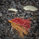 Lunkerhunt Impact Ignite Bait, Craw, 1/2 oz, IMSBW01