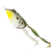 Lunkerhunt Lunker Frog Combo, Assortment, 2.25in &amp; 1/2 oz, LFCOM01