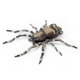 Lunkerhunt Phantom Spider Bait Topwater, 1, 2in, Dock, SPIDER02
