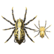 Lunkerhunt Phantom Spider Bait Topwater, 1, 2.25in, Fang, LSPIDER07