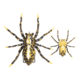 Lunkerhunt Phantom Spider Bait Topwater, 1, 2in, Fang, SPIDER07