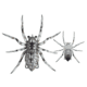 Lunkerhunt Phantom Spider Bait Topwater, 1, 2in, Huntsman, SPIDER08