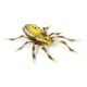 Lunkerhunt Phantom Spider Bait Topwater, 1, 2in, Six Spot, SPIDER01
