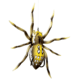Lunkerhunt Phantom Spider Bait Topwater, 1, 2in, Six Spot, SPIDER01