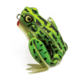 Lunkerhunt Popping Frog Bait Topwater, 1, 2.25in, Green Tea, POP01