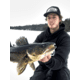 Lunkerhunt Straight Up Bait, Perch, 1/2 oz, SUPH07