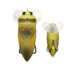 Lunkerhunt Yappa Bug Soft Bait, 1, 2.75in, Water Bug, YPAB03