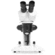 LW Scientific DM-Dual Mag Stereoscope 10X/30X, Dual LED Light Stand, DMM-S13N-7LL3