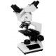 LW Scientific Revalation III Dual Head Microscope with Achromat Objectives, CREAM R3M-DN4A-DAL3