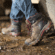Maelstrom Zion Mens 6in Composite Toe Boot, Non-Insulated, Wide, 9, Earth Brown, 5101-9W