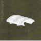 Magpul XTM Enhanced Rail Panel Foliage Green MAG510FOL