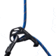 Mammut 9.5 Crag Dry Rope, blue-ocean, 60 m, 2010-06050-50624-1060
