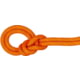 Mammut 9.8 Crag Dry Rope, vibrant orange-boa, 70 m, 2010-05910-2284-1070