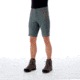 Mammut Hiking Shorts -Mens, Storm/Zion, US 36, 1023-00120-00251-52-10