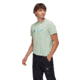 Mammut Mountain T-Shirt 3308m - Mens, Silver Sage, XL, 1017-06490-1288-116