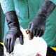 Mapa/Spontex Pioneer Corp Glove Tech Neop NS-420 12PR L 420448