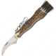 Maserin Mushroom Knife Stag Handle Folding Knife,2.75in,Curved Stag Handle MAS800CV