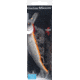 Matzuo Kinchou Minnow Saltwater Series Bait,7.5in,Mullet 114359