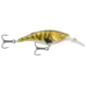 Matzuo Kinchou Shad 7 Plugs Trolling, Natural Walleye, SMSS7-NWLYE