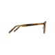 Maui Jim Sunny Days Polarized Round Sunglasses, Honey Smoke Frame, HCL Bronze Lens, Honey Smoke H529-21D
